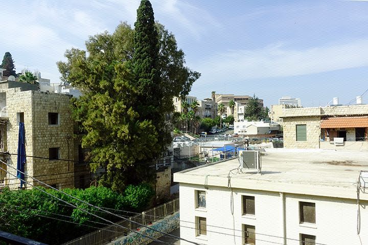 ביל"ו 29