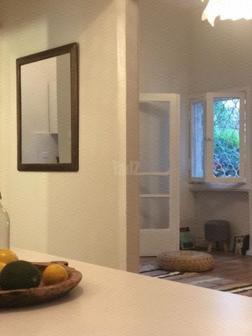 החשמונאים 5