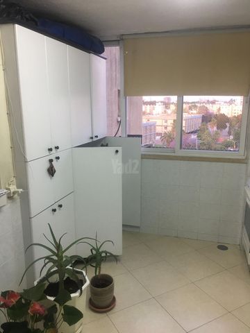 צונץ 38