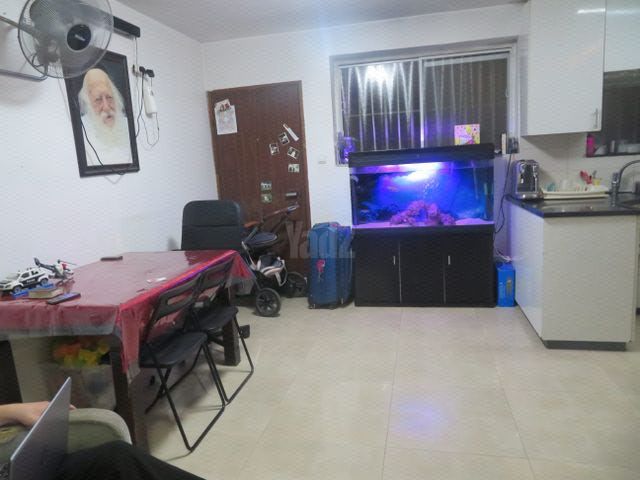 הנורית 5