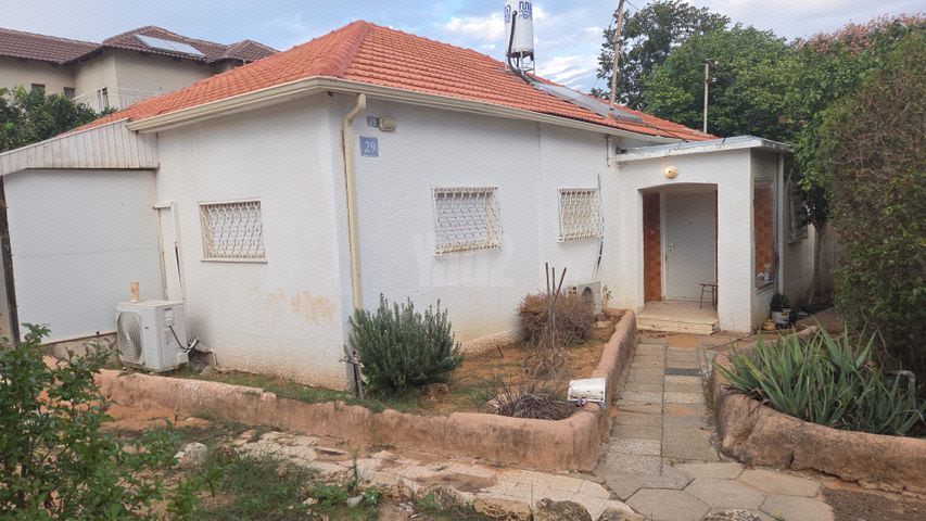 ברנדייס 29