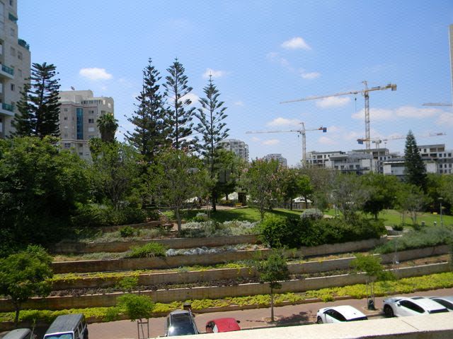 ויינשל 15