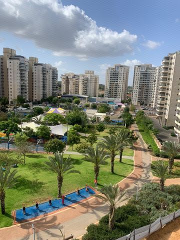 הברוש 5