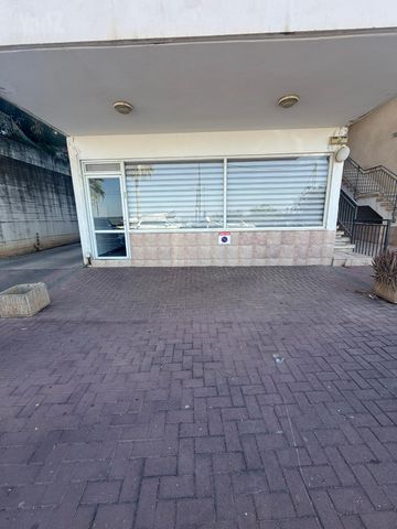 אחד העם 38