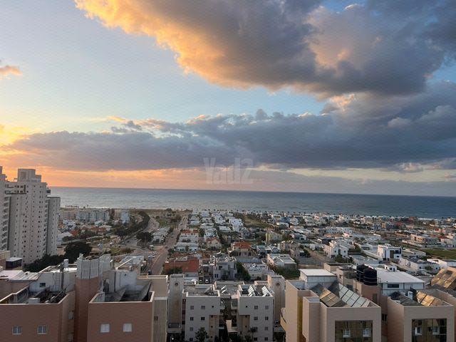 הבוסתן 11