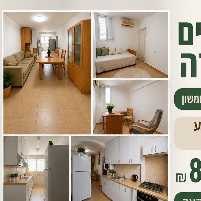 אליעזר מילרוד 559