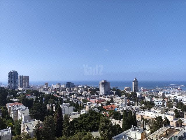 פבזנר 29