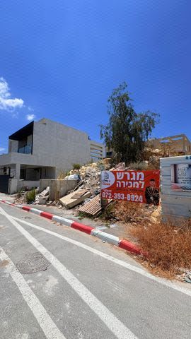 שריגים