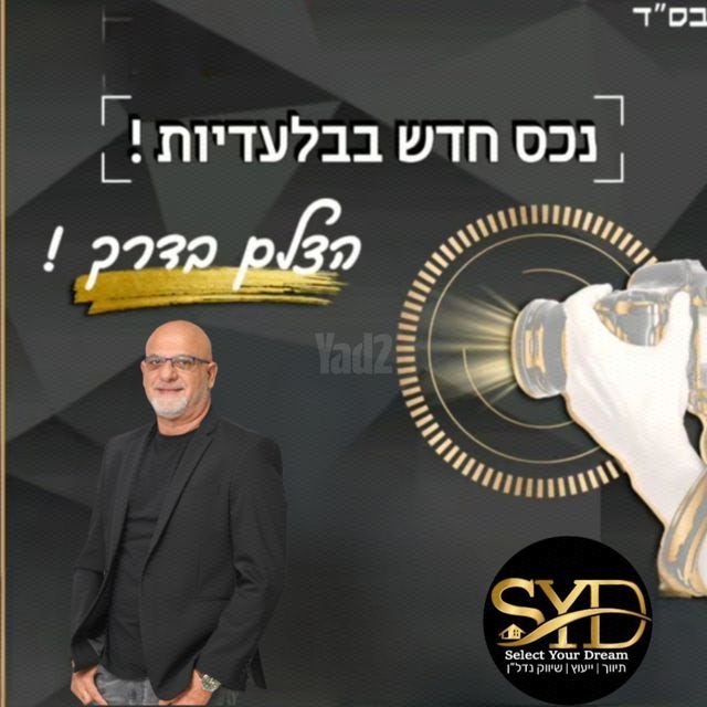 לוין