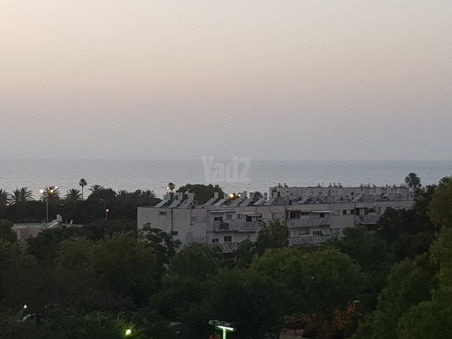 צה"ל 