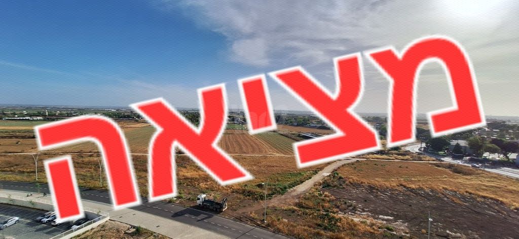 הגפן 6