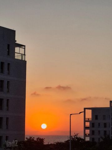 אלמוג 8