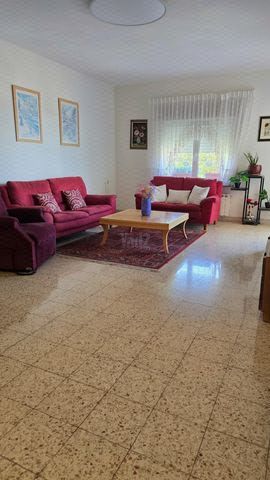 התומר 