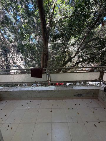 דירה להשכרה בתל אביב יפו (תיווך) — 4