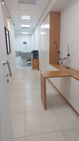 אלי הורוביץ