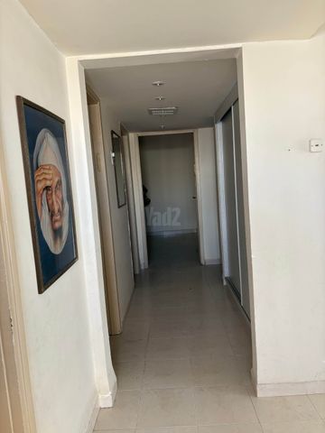 הגפן 12