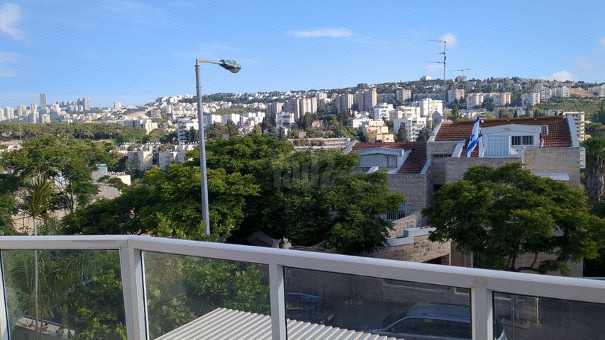 נורית 9