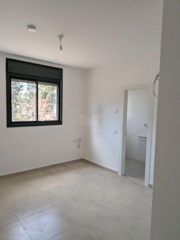 אסתר ארדיטי 11