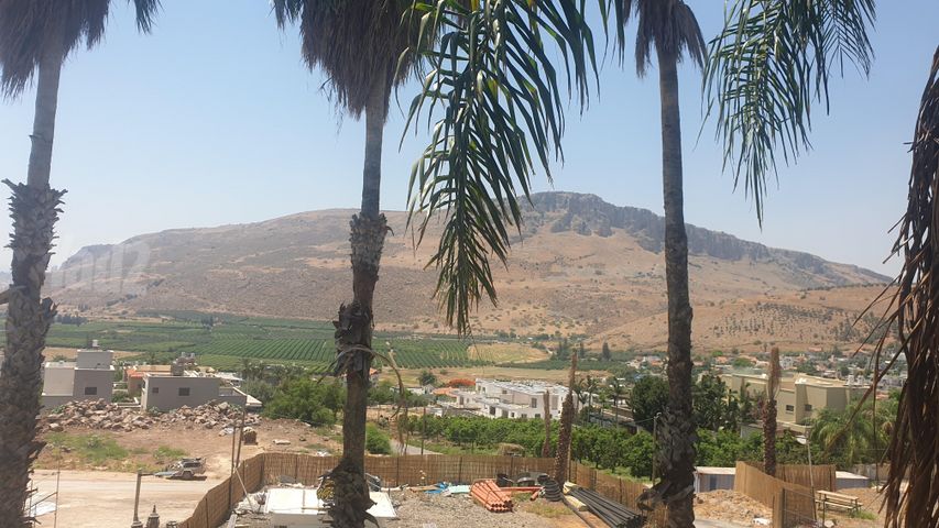 סמטת ההרדופים 1