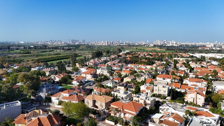 הרקפת 11