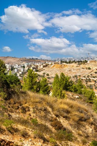 דירה למכירה בירושלים (תיווך) — 2