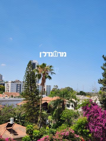 המעיין 