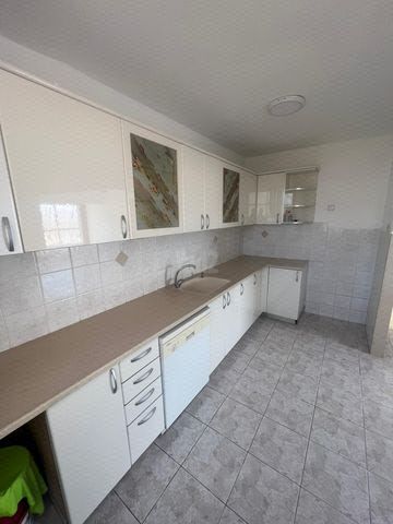 זבולון 49
