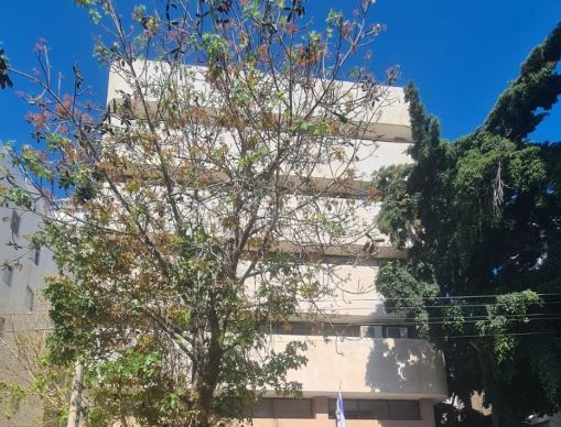 שכונת הראשונים