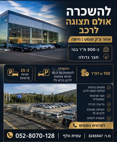 מגרשים, חיפה