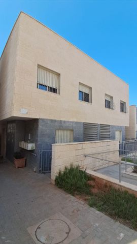 גפן 16