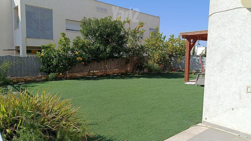 ברוש 39