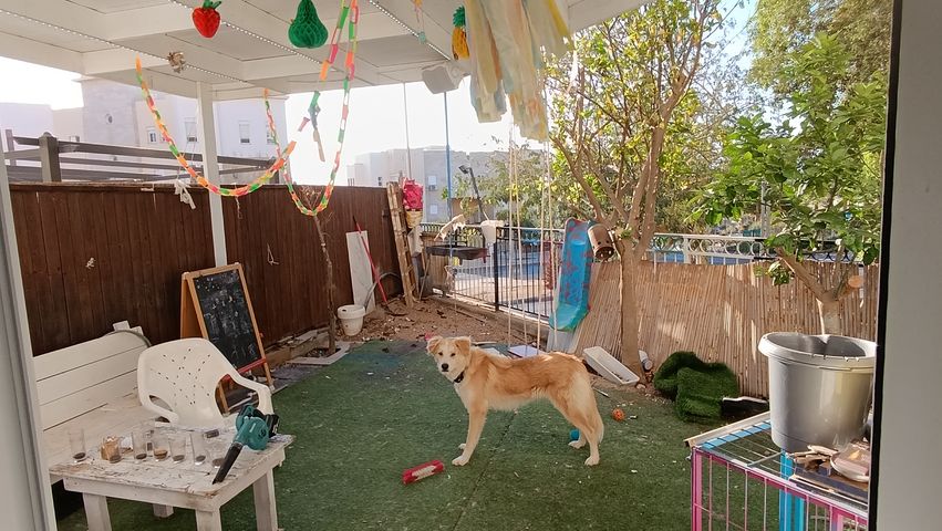 עין נטפים 103