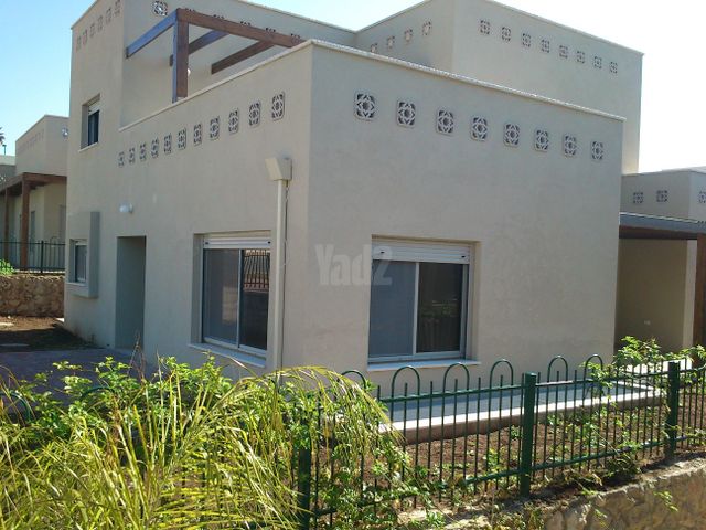 רימון 1