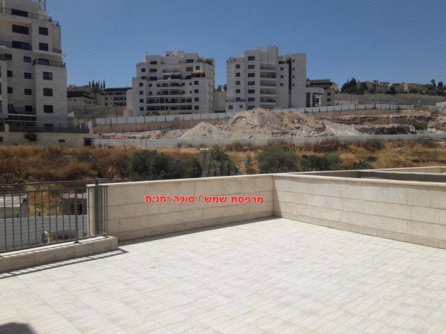 פרופסור יעקב נאמן 1