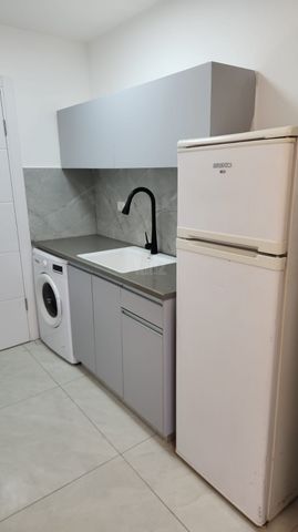 שבטי ישראל 33
