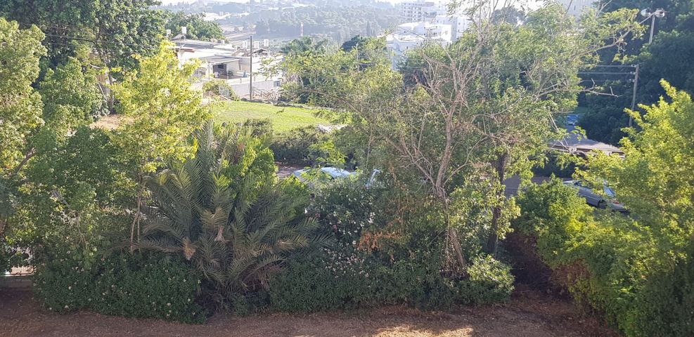קרן היסוד 5