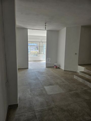אורן 22