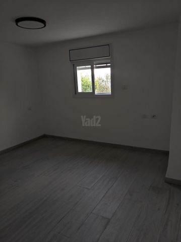 זית 14