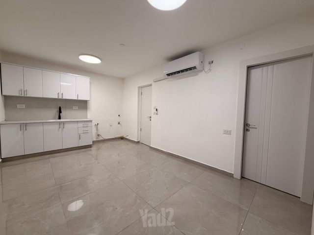 הנבל 23