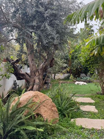 שדרות הגליל 66