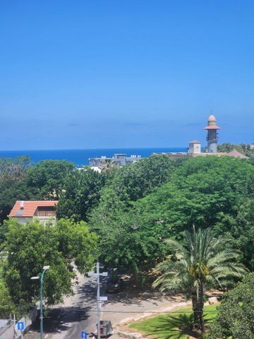 יפת 169