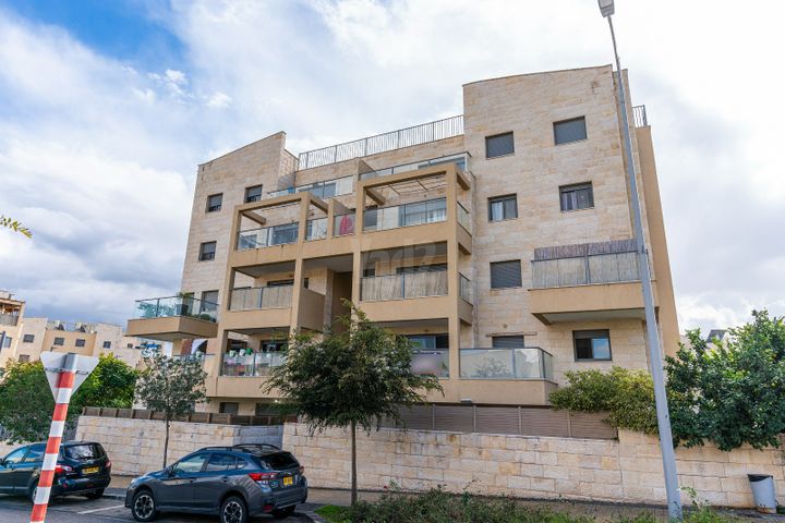 שקד 12