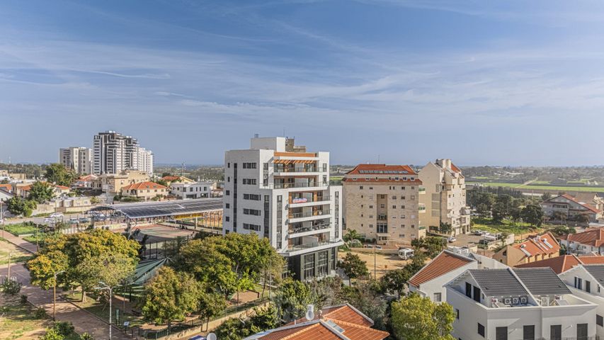 התנאים 