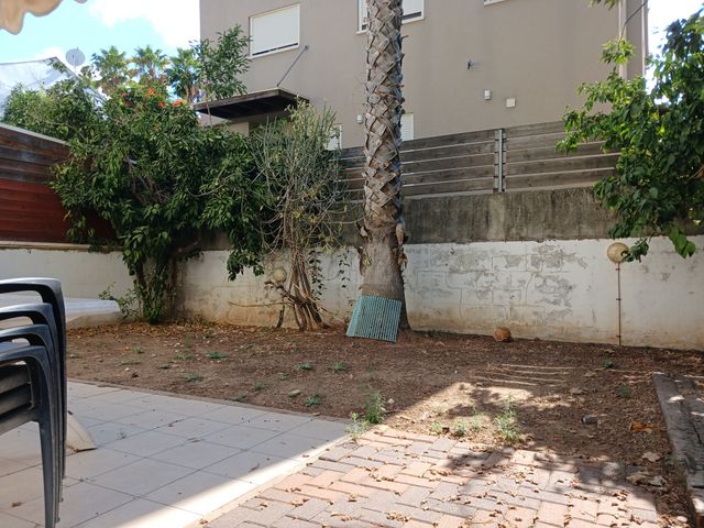 הרצל 
