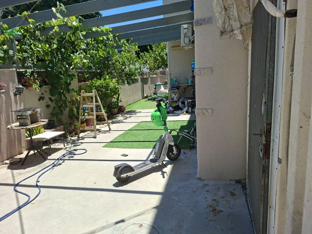 היהודי זיס 