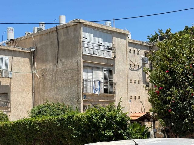 אבן שפרוט 31