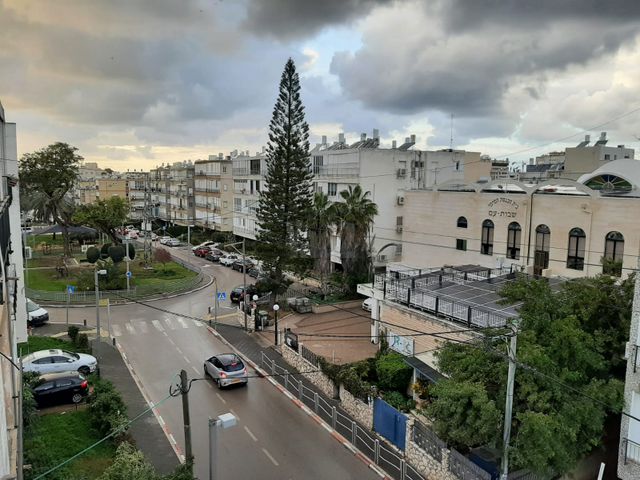 הרצוג 