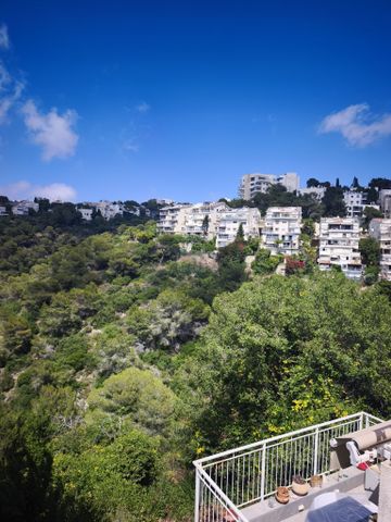 אלכסנדר ינאי 