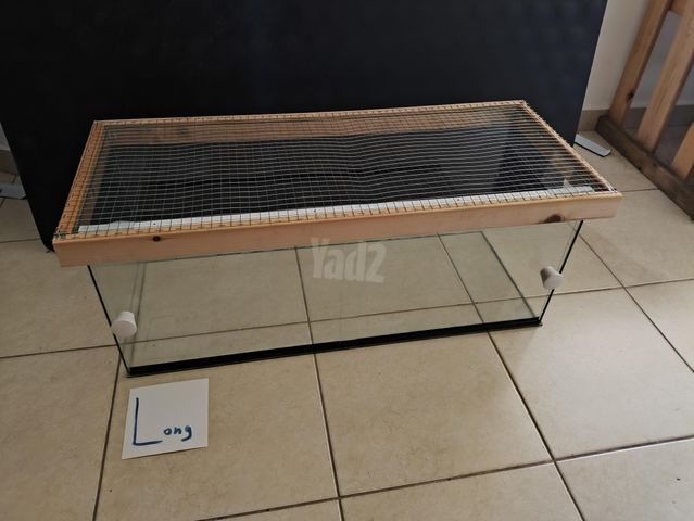 תמונת מודעה - חיות מחמד