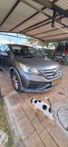 מודעת רכב הונדה CR-V
